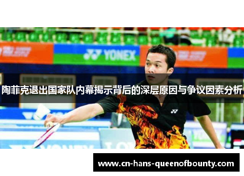 陶菲克退出国家队内幕揭示背后的深层原因与争议因素分析