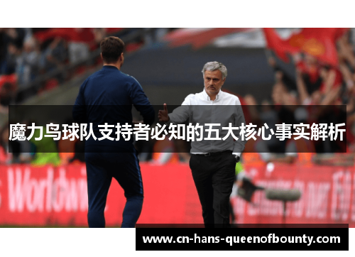 魔力鸟球队支持者必知的五大核心事实解析